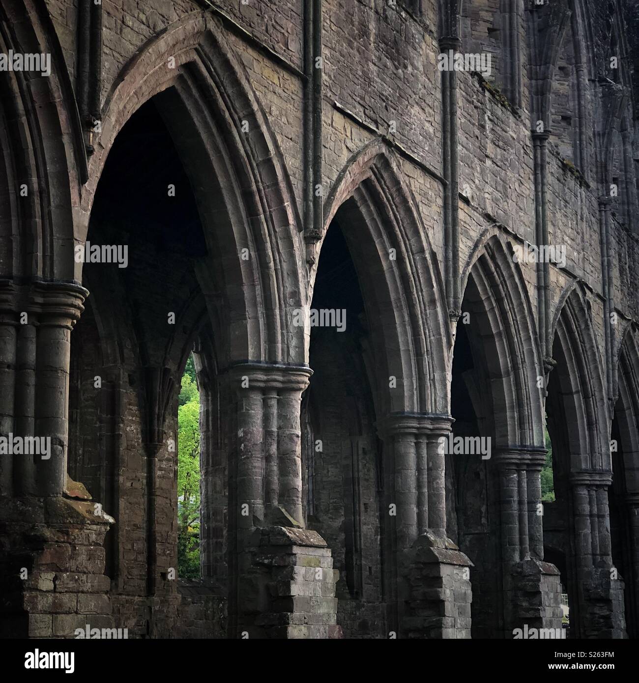 A slice of green at Tintern Abbey - Smartphone Captured Stock Image