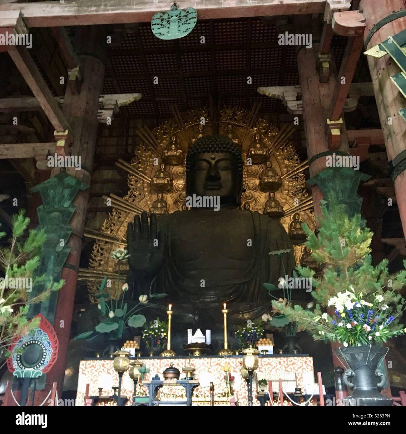 Big gold Buddha. Nara national park. Japan. - Smartphone Captured Stock Image
