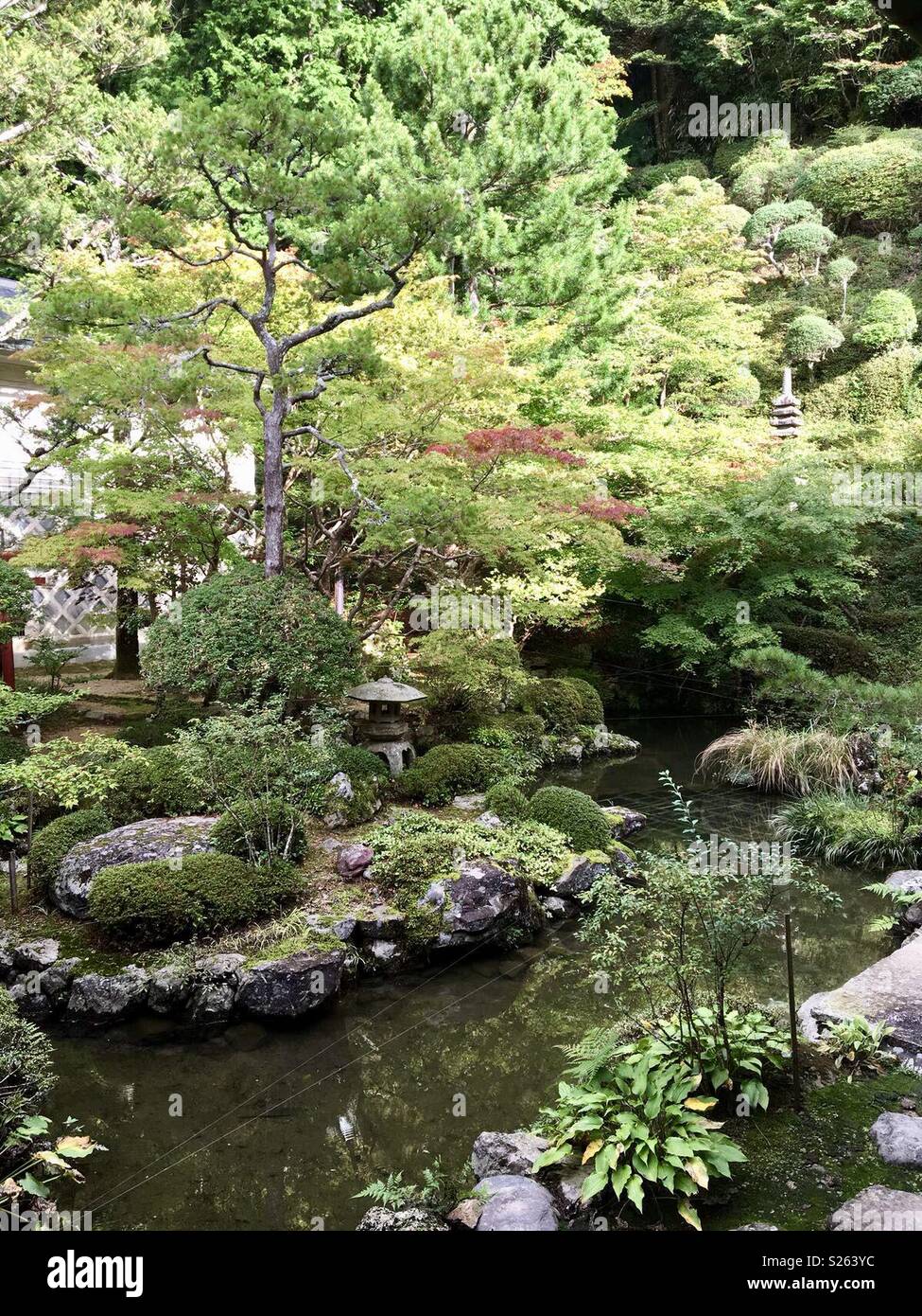 Japanese Garden - Smartphone Captured Stock Image