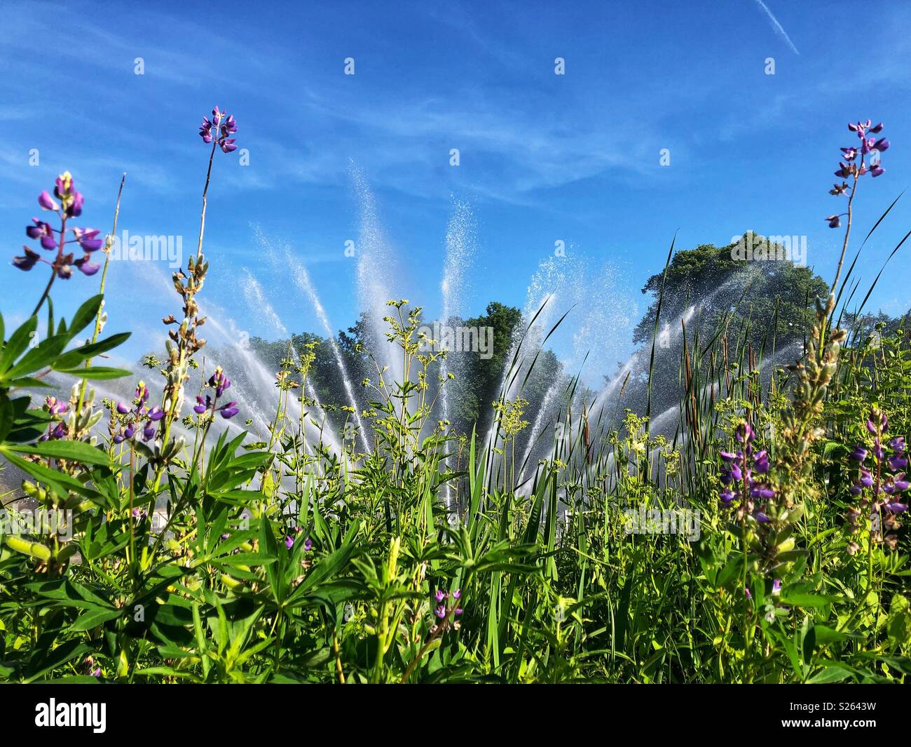 Dancing fountains in Planten un Blomen, an urban park in Hamburg, Germany. - Smartphone Captured Stock Image