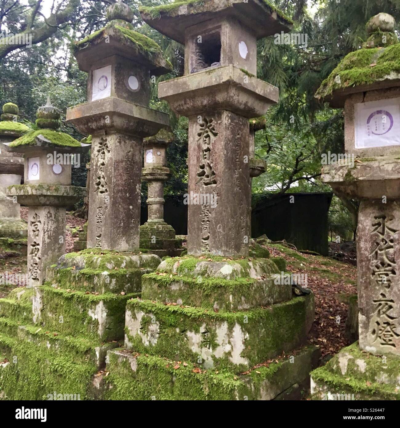 Japan - Smartphone Captured Stock Image