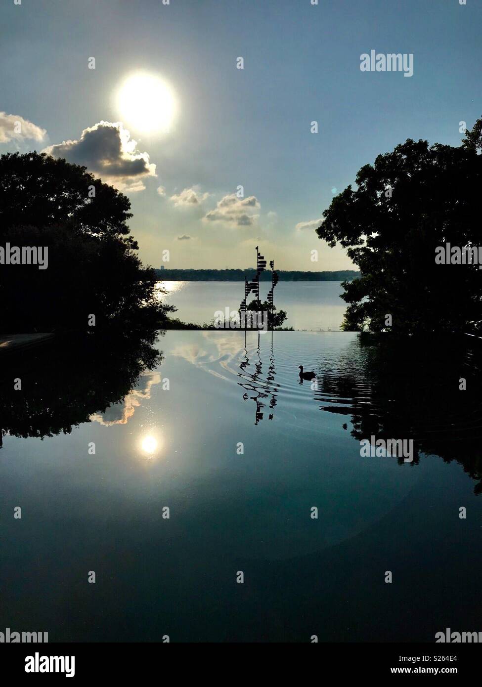 Sunset at the Arboretum - Smartphone Captured Stock Image