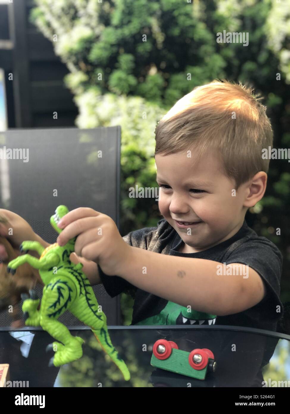 A boy playing with his toy dinosaurs Stock Photo