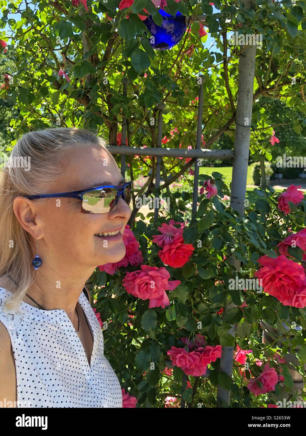 Woman enjoying the beautiful red roses. - Smartphone Captured Stock Image