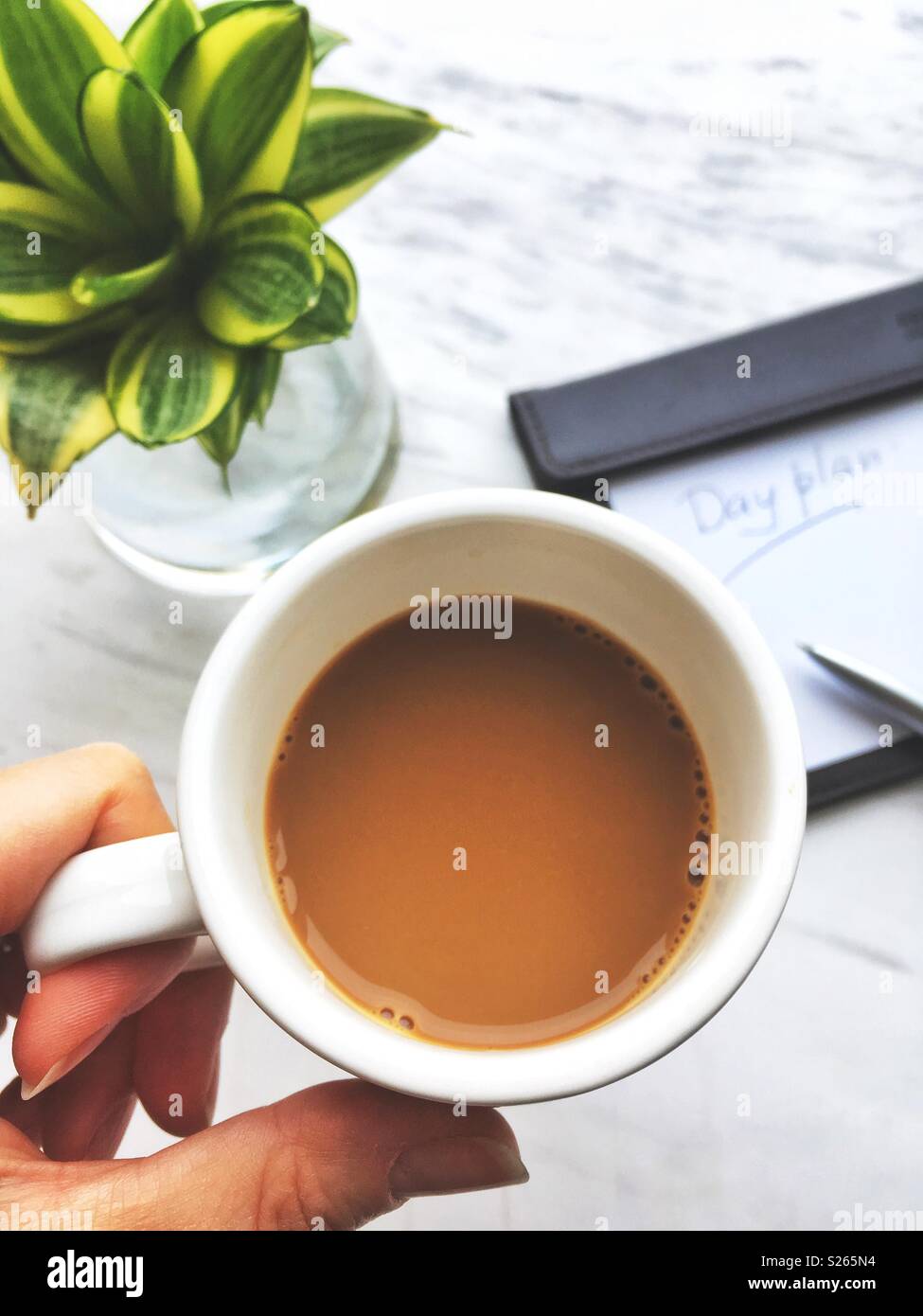 Day plan concept. Female hand holding coffee in a cup and notepad with sing Day plan on a background. - Smartphone Captured Stock Image