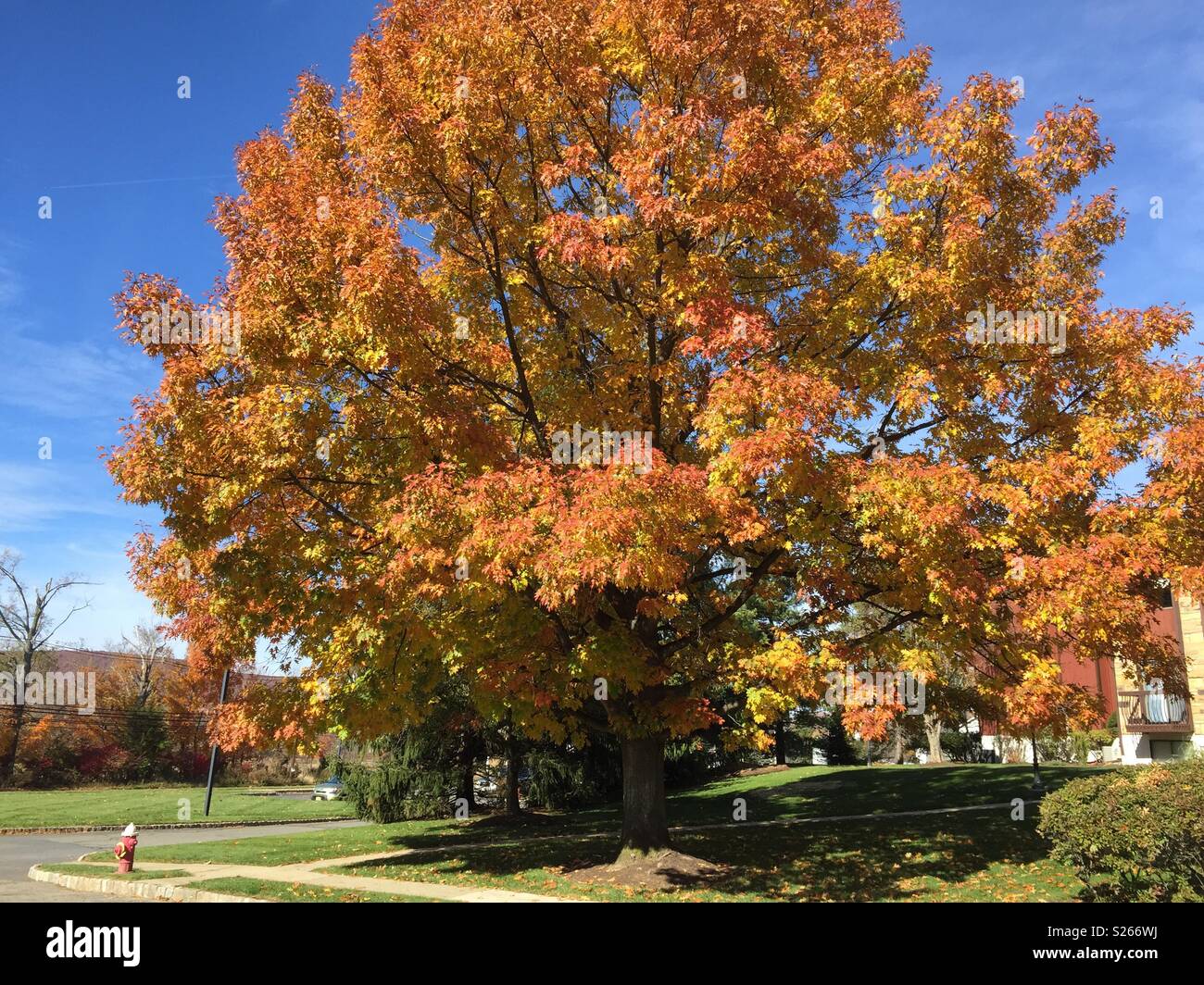 Fall colors blue sky hi-res stock photography and images - Alamy