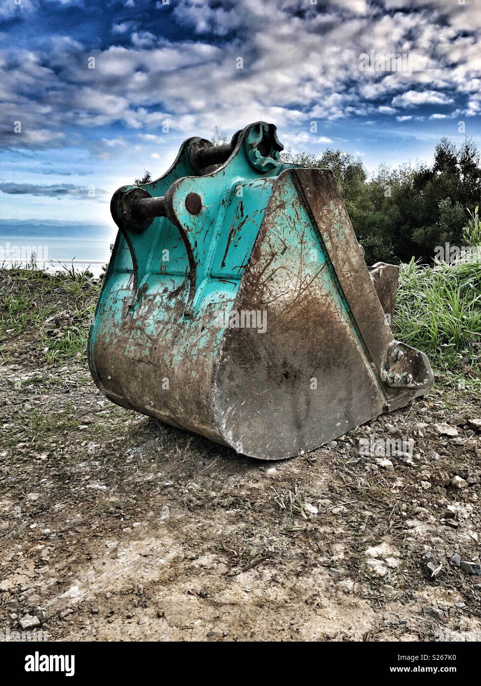 Teal digger scoop Stock Photo - Alamy