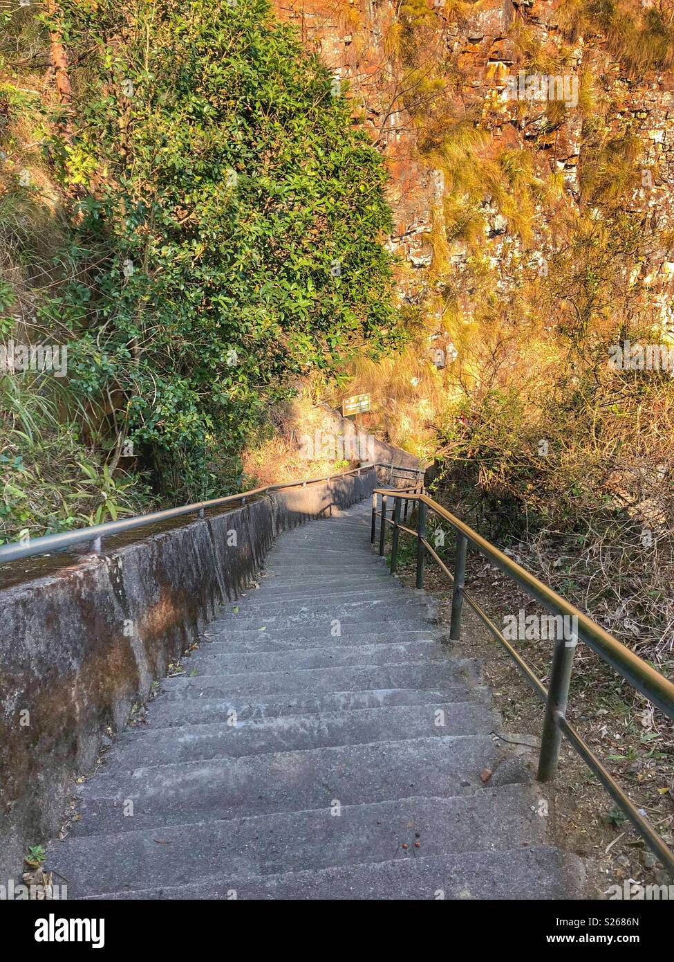 Steep steps into the Guangdong Grand Canyon in southern China. - Smartphone Captured Stock Image