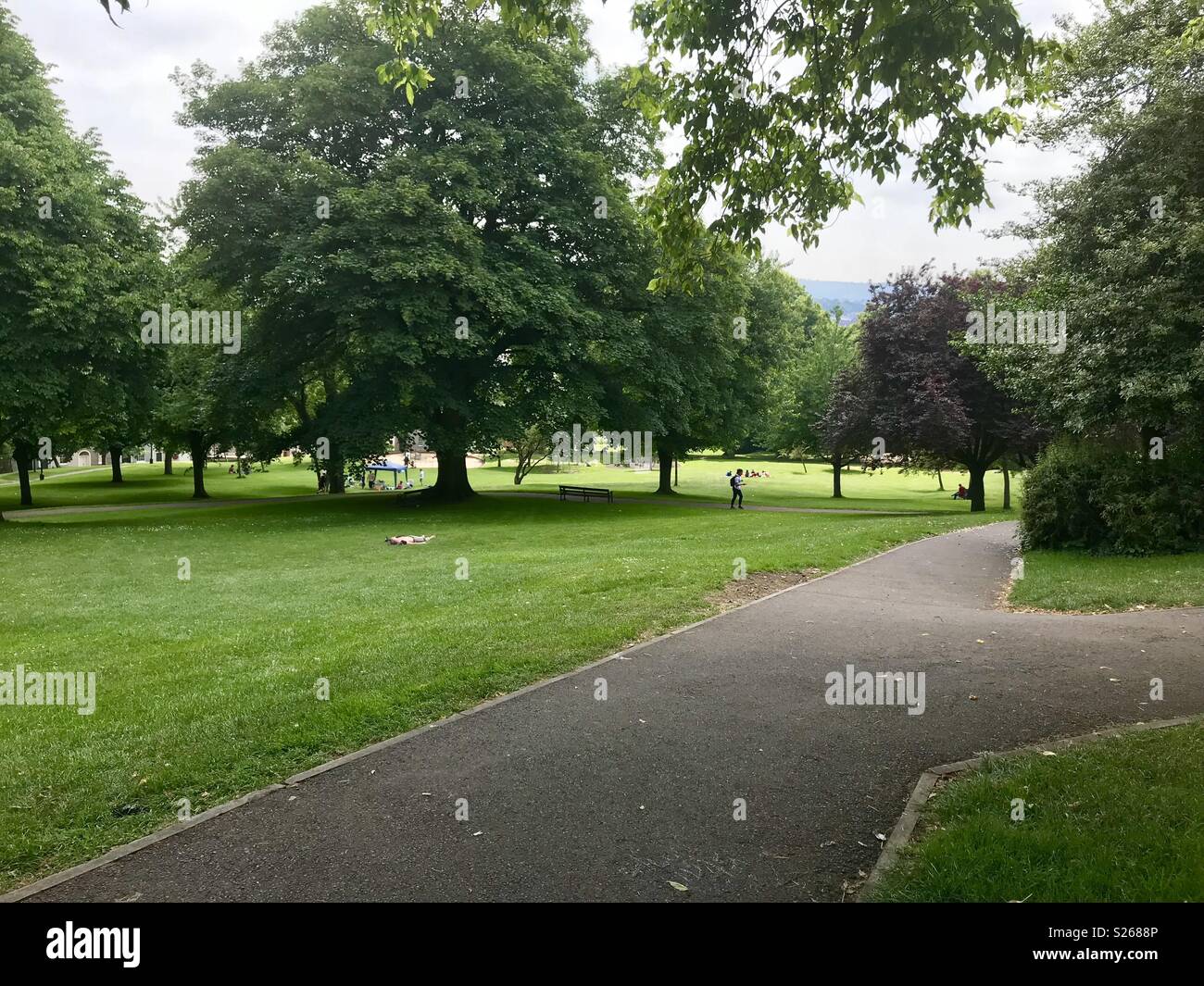 Brandon hill nature reserve - Smartphone Captured Stock Image