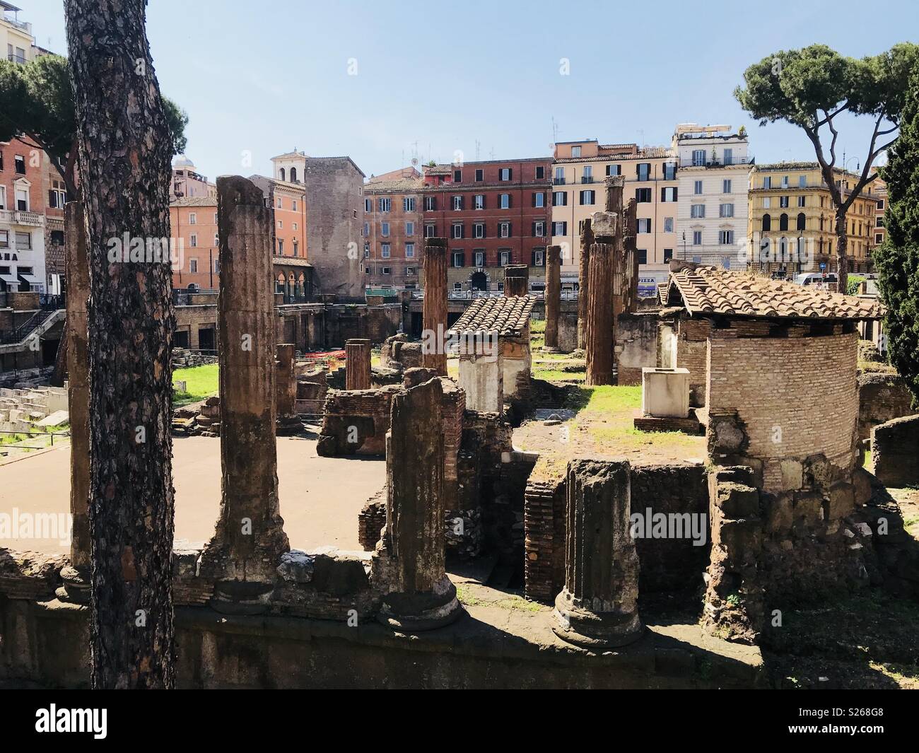 Rome ruins in Rome, Italy. - Smartphone Captured Stock Image