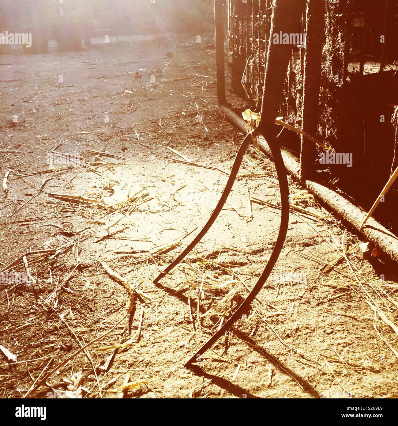 Old hay fork in close up on a farm, UK - Smartphone Captured Stock Image