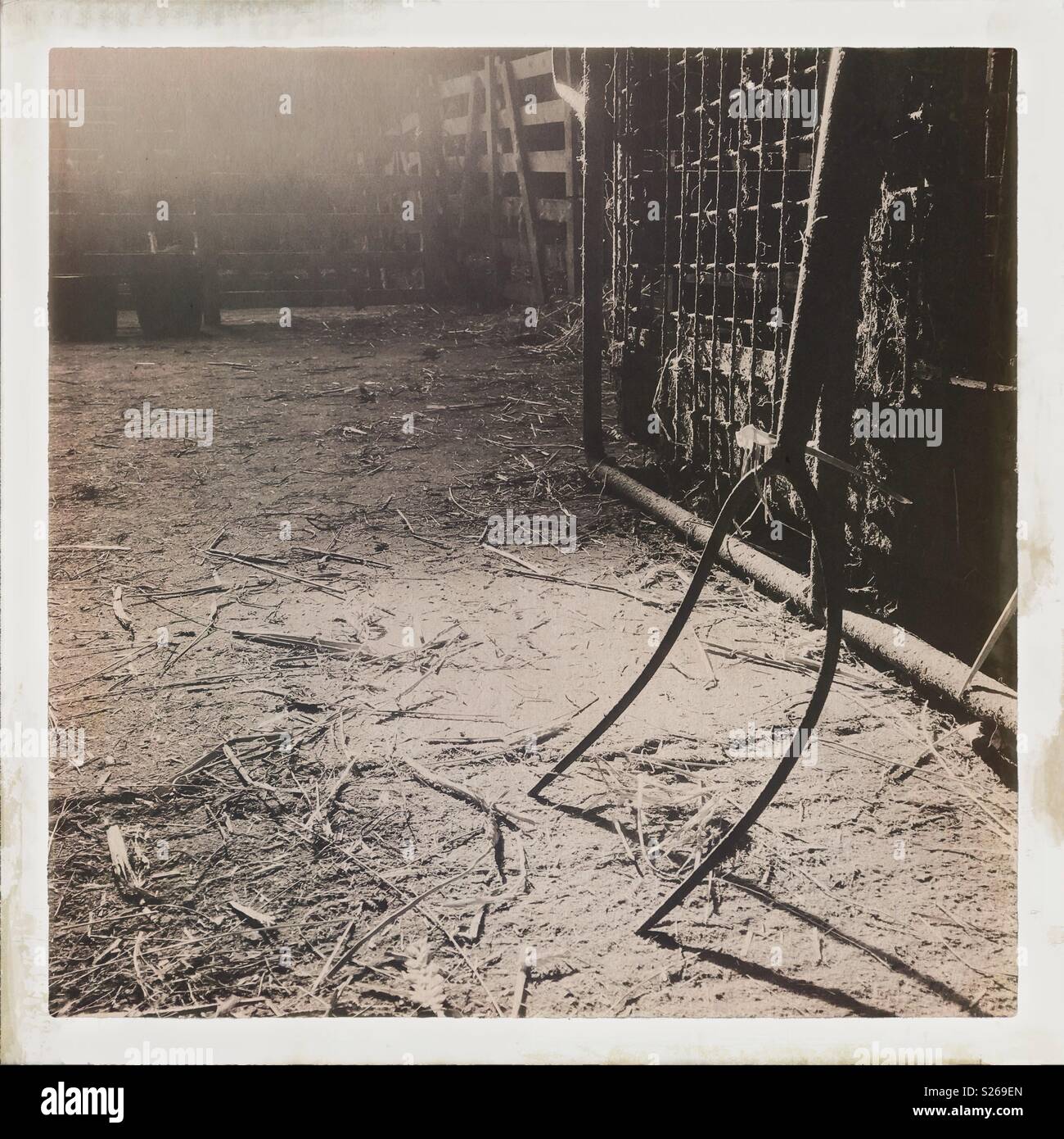 An old hay fork in a barn. UK - Smartphone Captured Stock Image