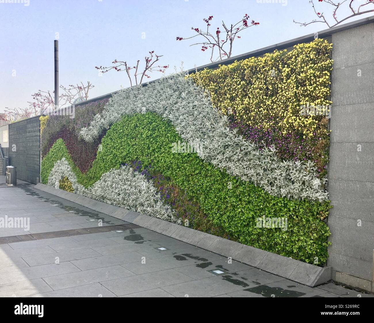 The bund Shanghai - Smartphone Captured Stock Image