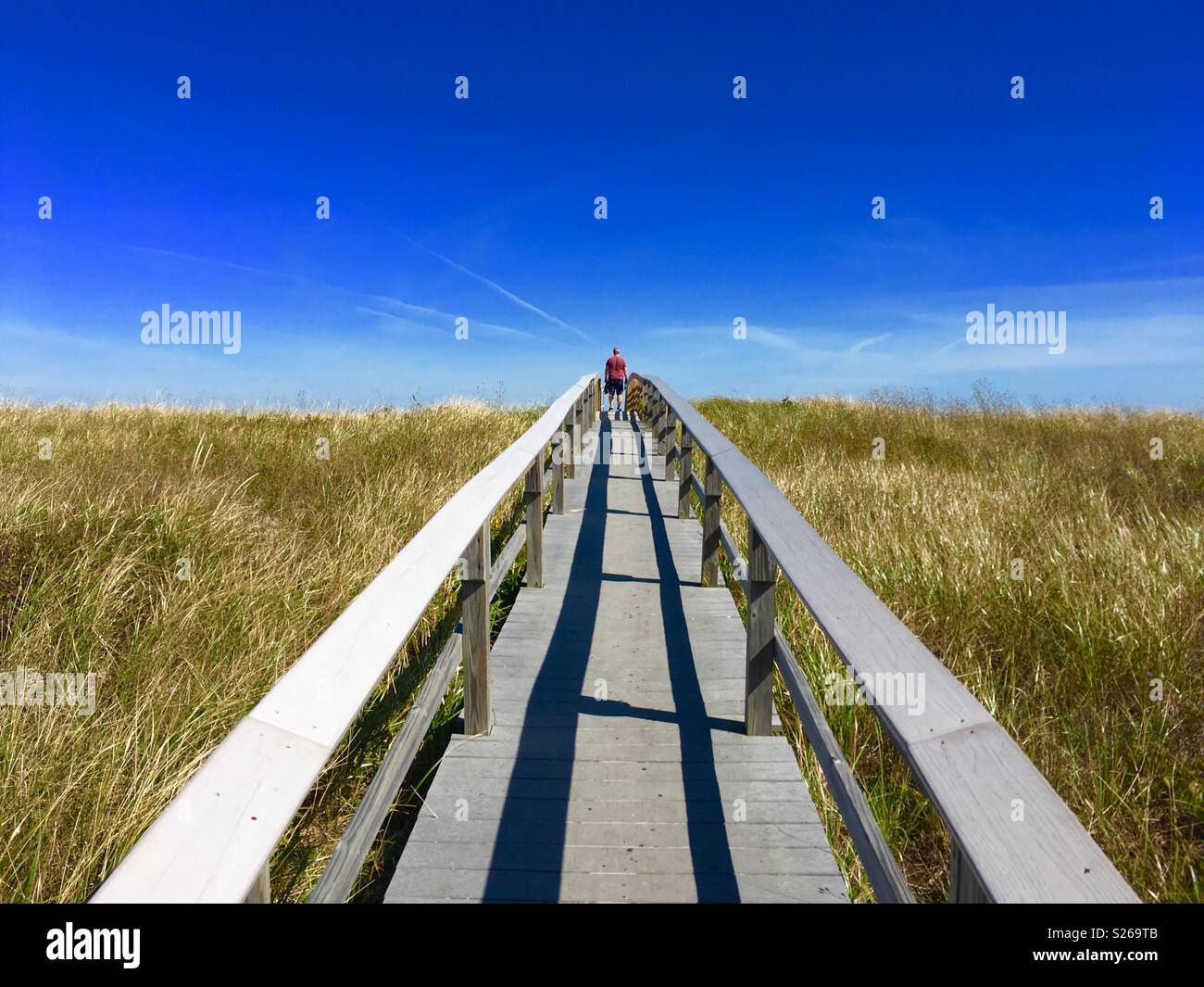 Sandy Neck beach boardwalk Stock Photo Alamy