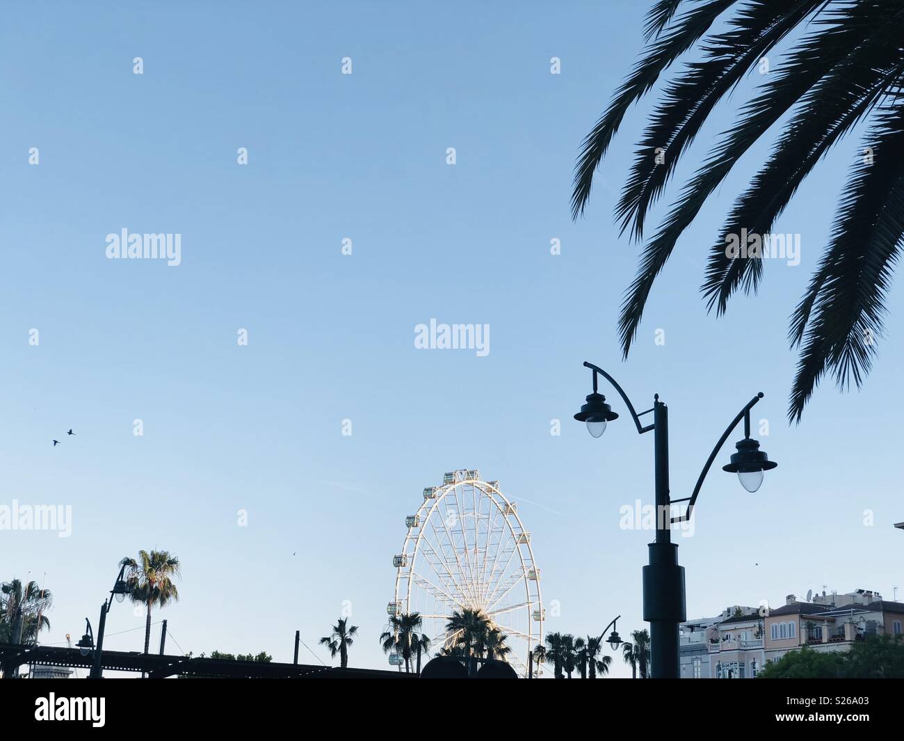 Ferris Wheel, Malaga, Harbor, Andalucia, Costa del Sol, Spain, Europe - Smartphone Captured Stock Image