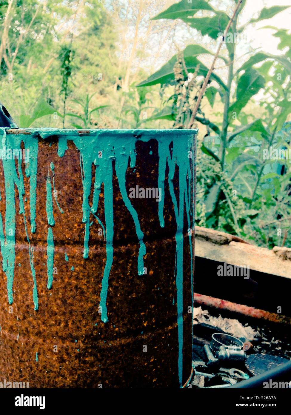 Aqua paint drips down rusted paint can with green weeds in background