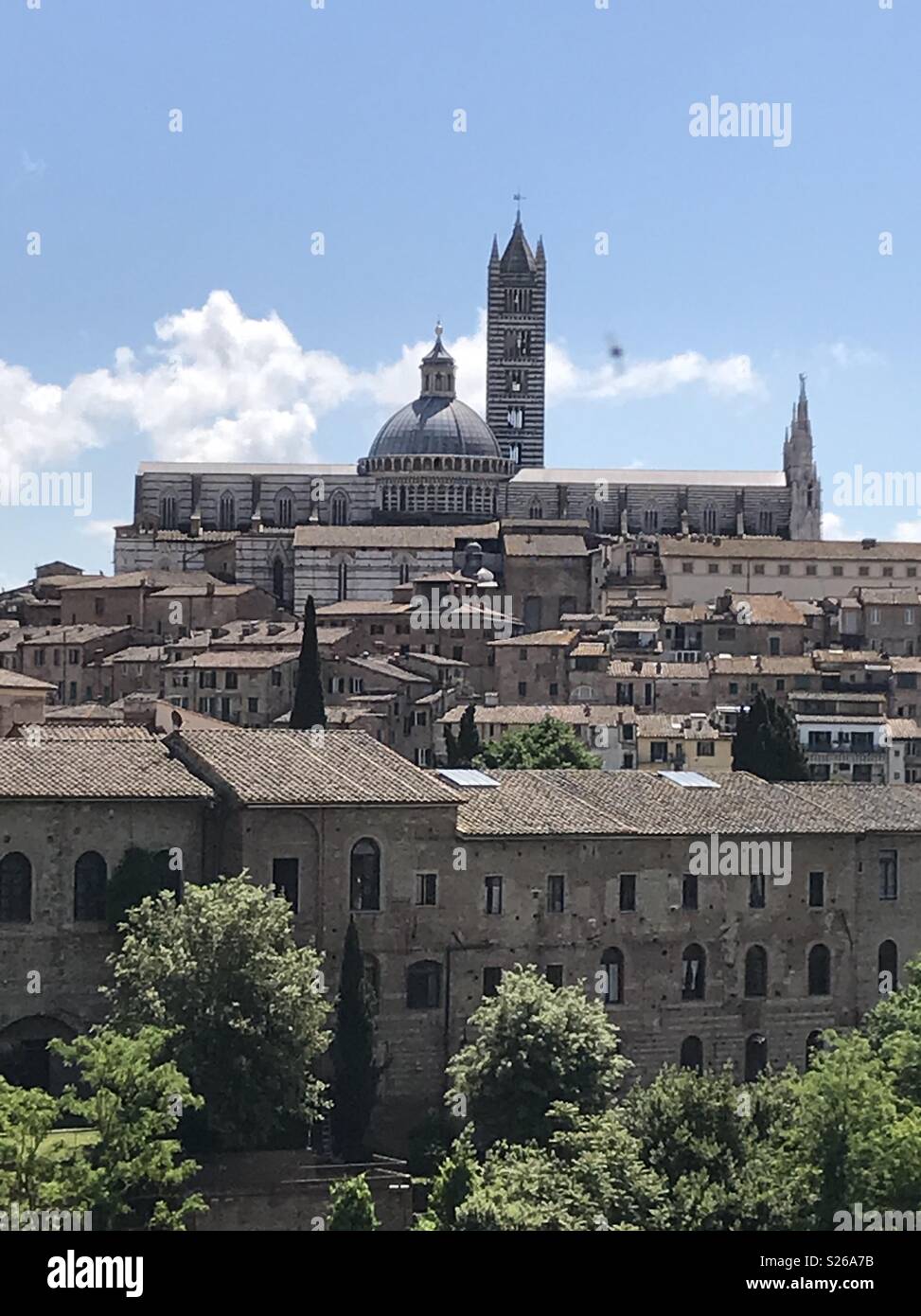 The Duomo in Siena, Italy. - Smartphone Captured Stock Image
