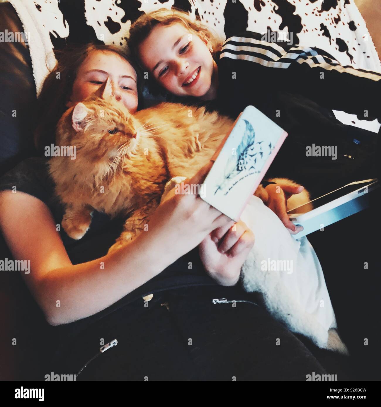 Two preteen girls taking a selfie with orange pet cat - Smartphone Captured Stock Image