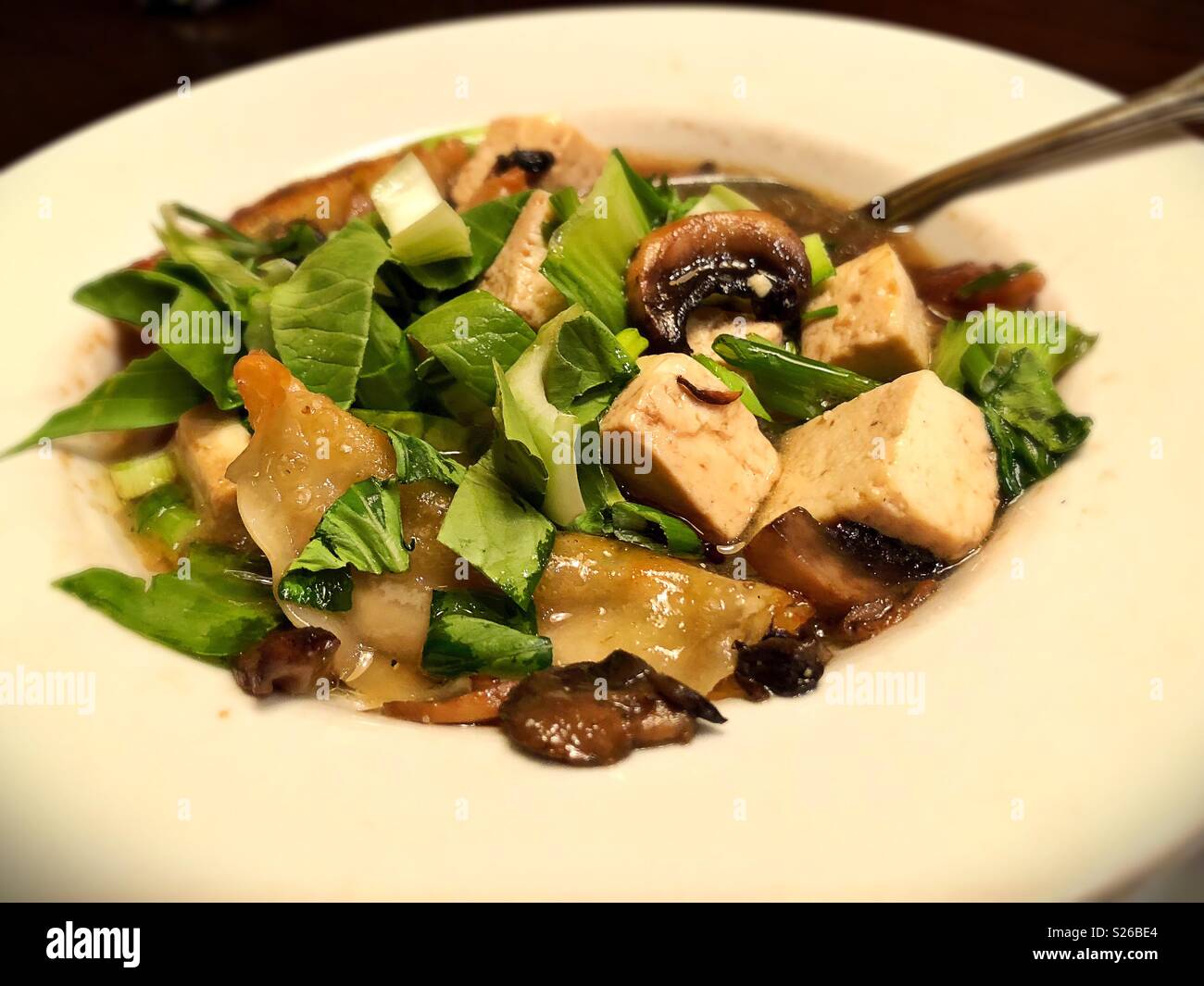 A bowl of vegan potsticker soup. Stock Photo