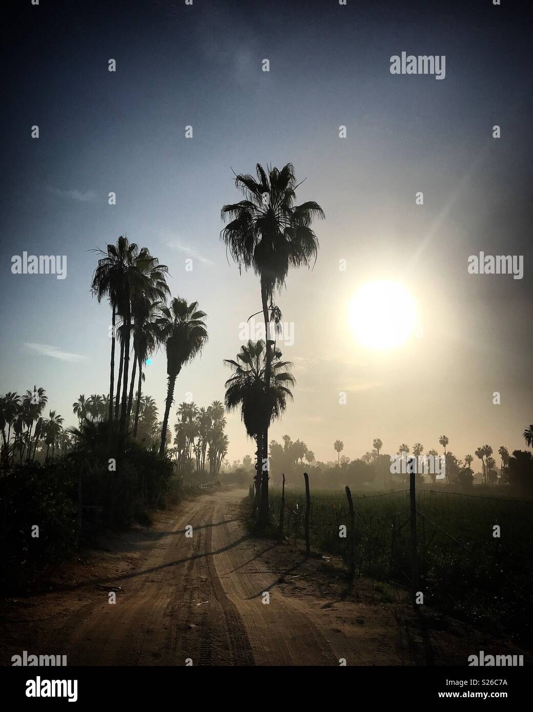 A sand road at Sunrise in Todos Santos, Baja California, Mexico - Smartphone Captured Stock Image