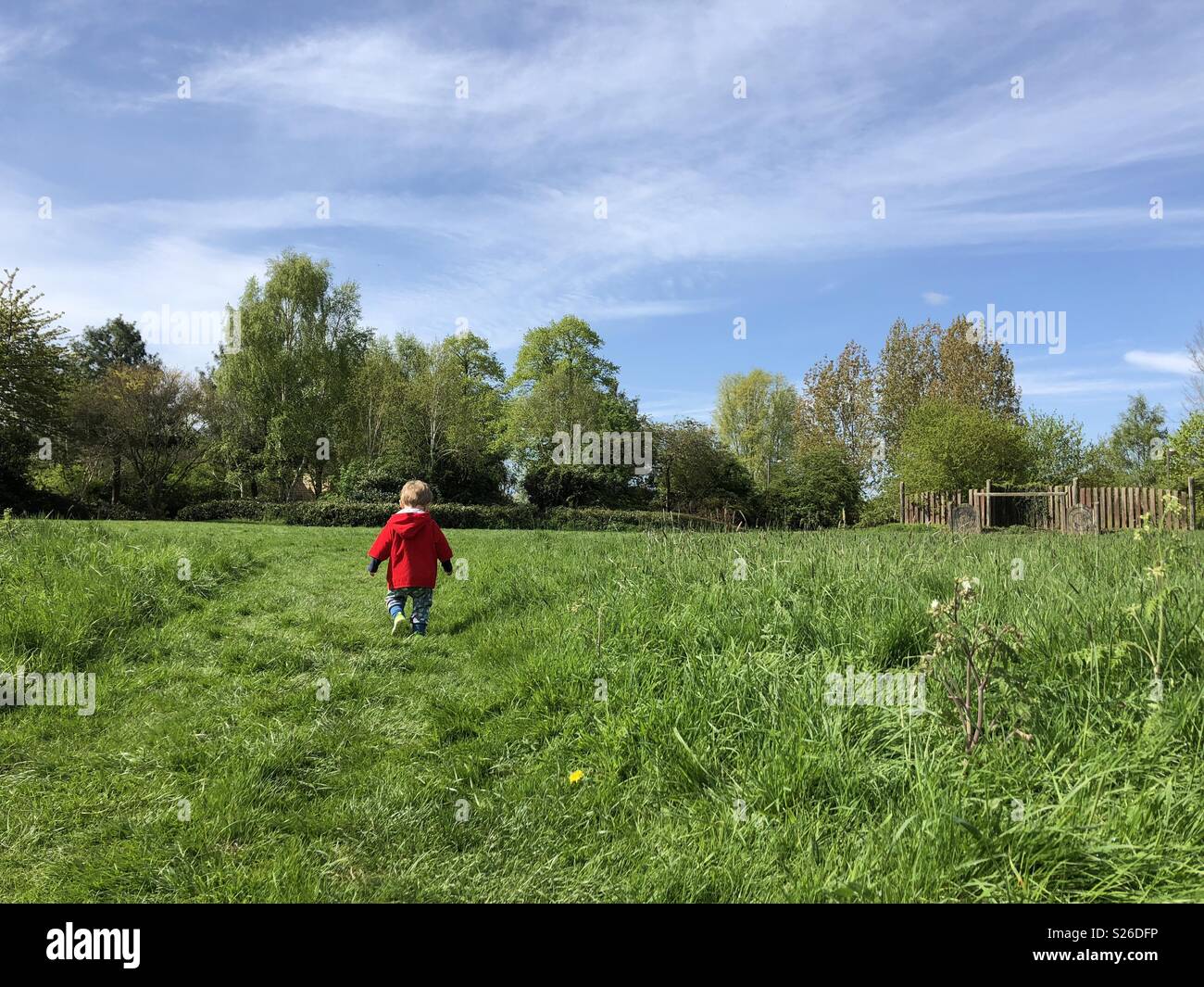 Toddler walking through field Stock Photo