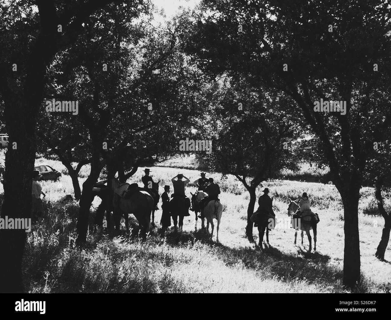 Horses and riders taking a rest in the shade.  Annual Romeria , Andujar, Sierra Morena, Jaén, Spain - Smartphone Captured Stock Image