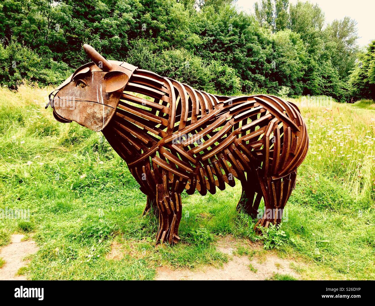 Bull sculpture in Canterbury, Kent - Smartphone Captured Stock Image