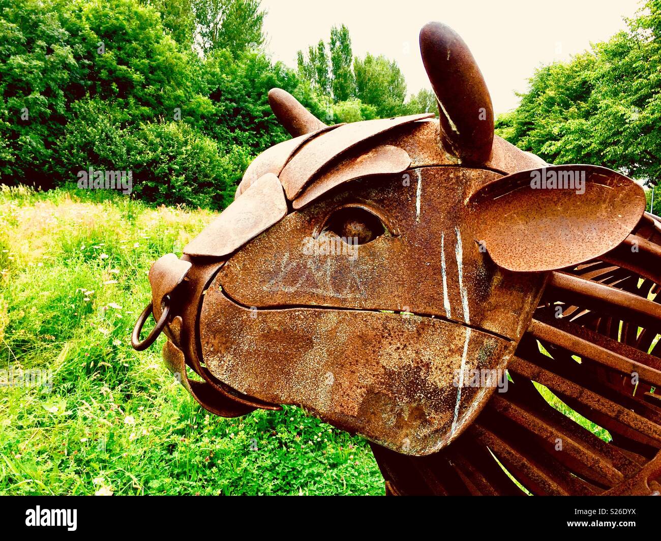 Close up of bull sculpture in Canterbury, Kent - Smartphone Captured Stock Image