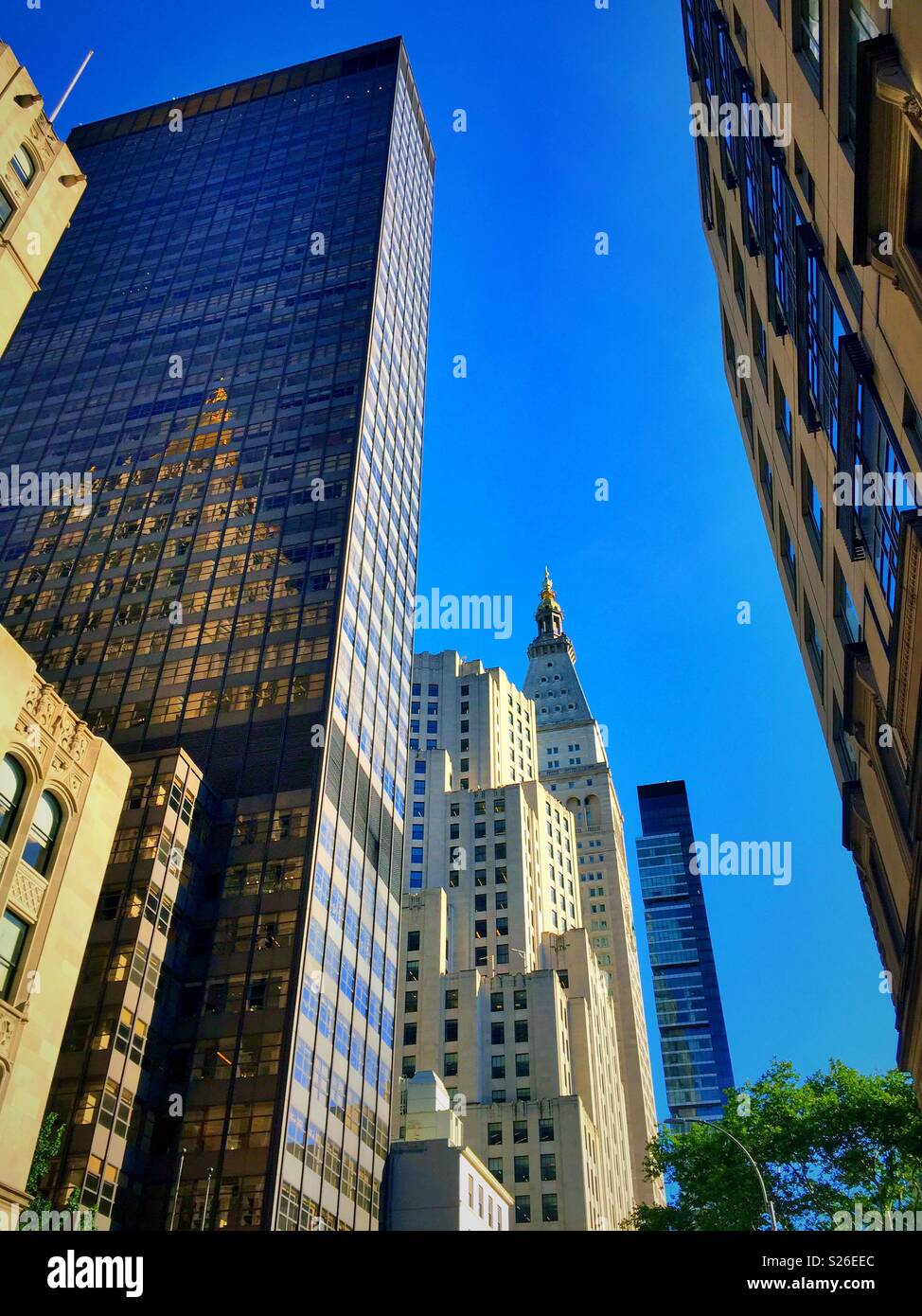 Tall buildings line Madison Avenue in the nomad section of Manhattan