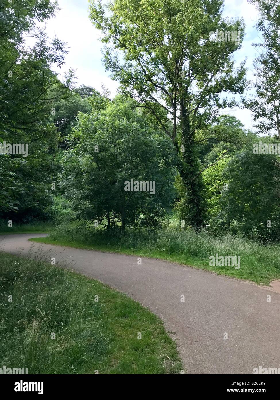 Windy path stoke park Bristol - Smartphone Captured Stock Image Windy path stoke park Bristol - Smartphone Captured Stock Image