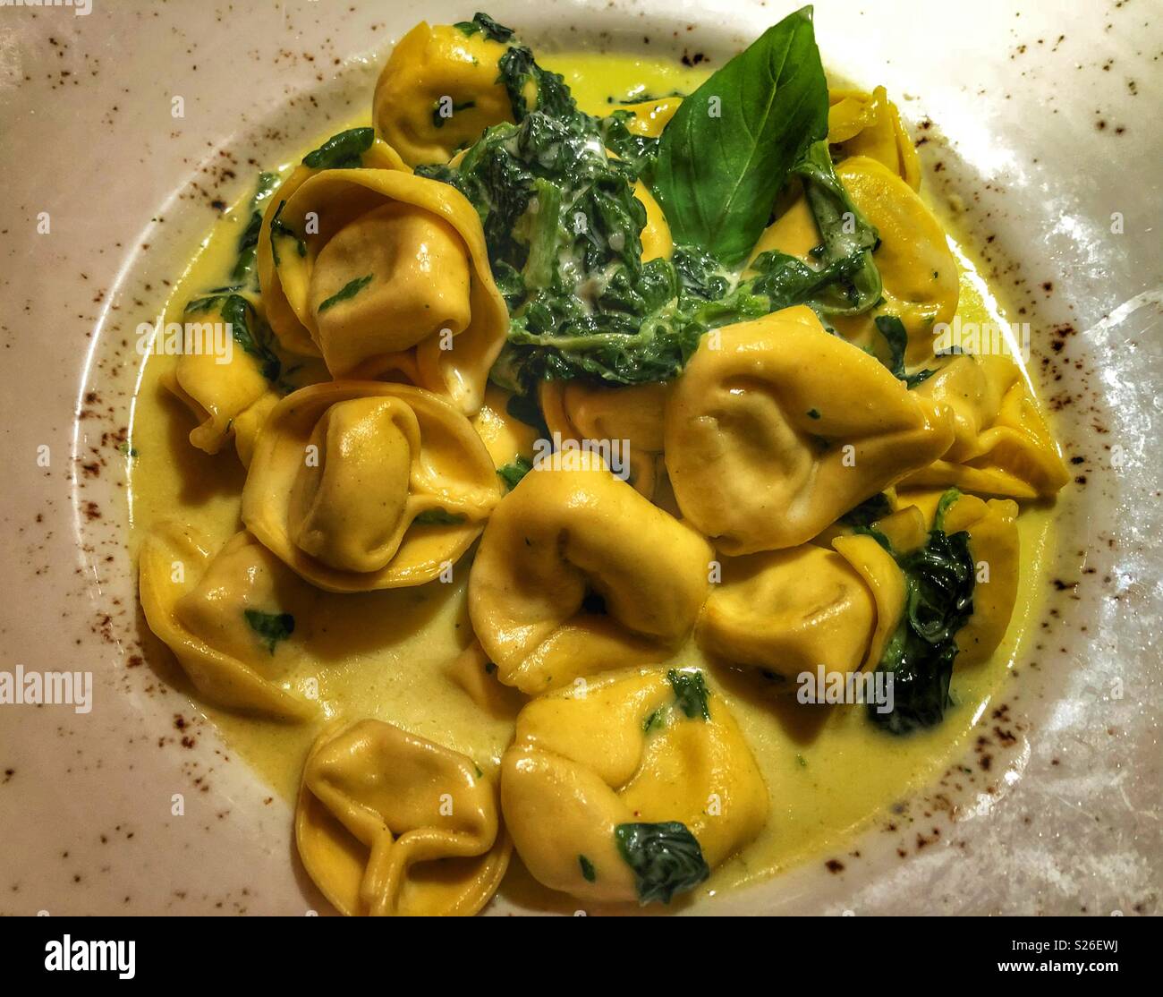 Tortellini and spinach in a cream sauce. - Smartphone Captured Stock Image