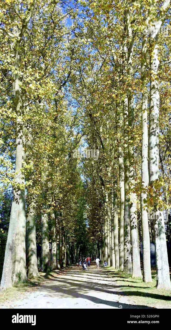 Palace of Versailles - Smartphone Captured Stock Image