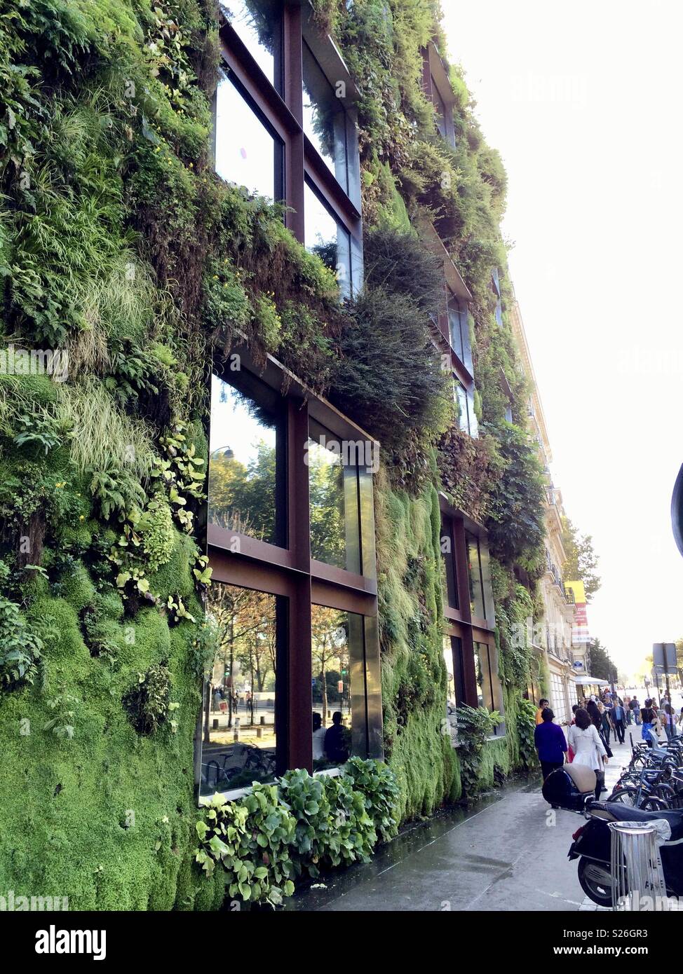 Building in Paris with green moss on. - Smartphone Captured Stock Image