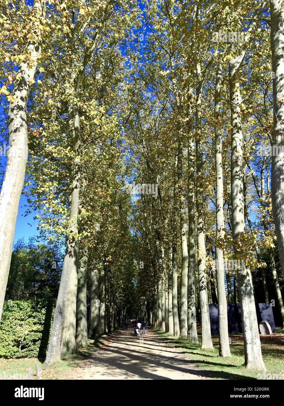 Palace at Versailles - Smartphone Captured Stock Image