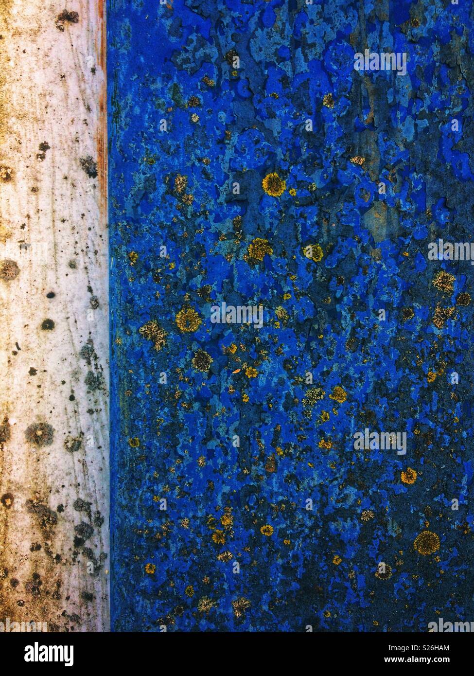 Closeup of rusty blue painted metal surface - Smartphone Captured Stock Image