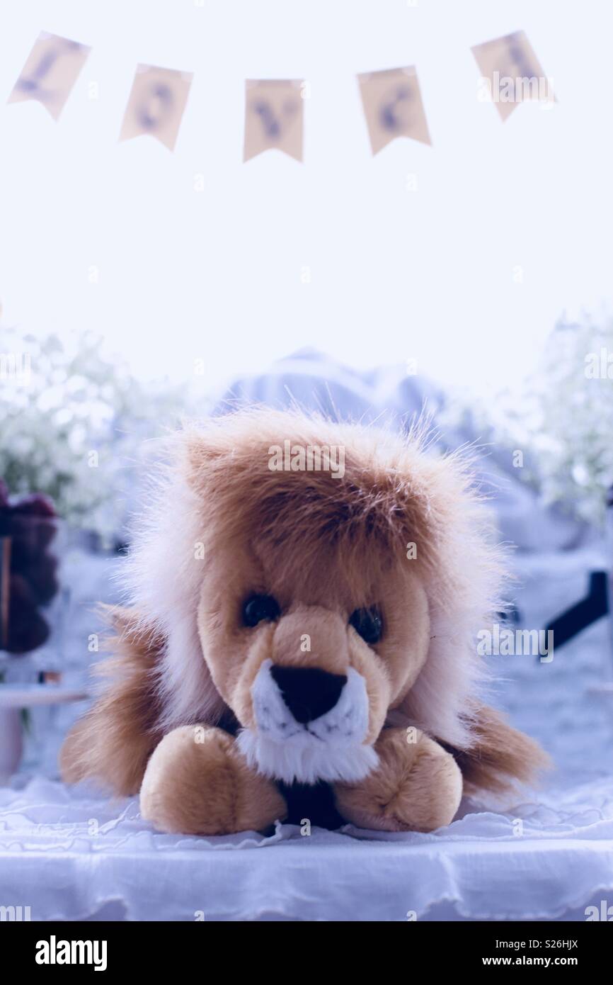 The Lion that was loved. Stock Photo