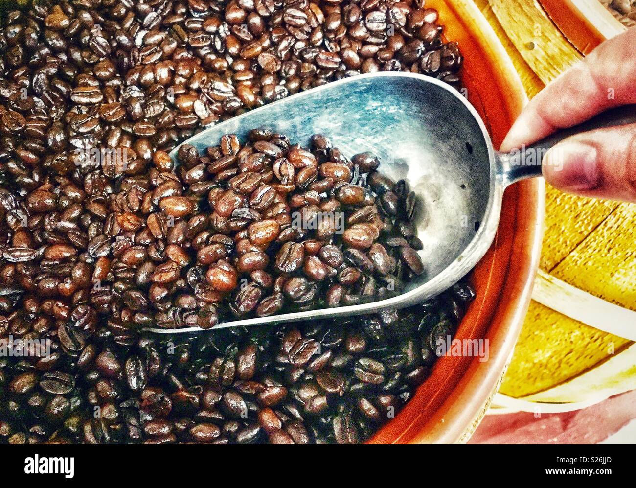 Person scooping coffee beans out of barrel - Smartphone Captured Stock Image