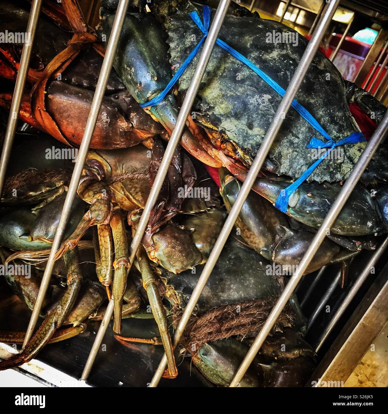 Live mud crabs on display at East Coast Lagoon Food Village, a hawker