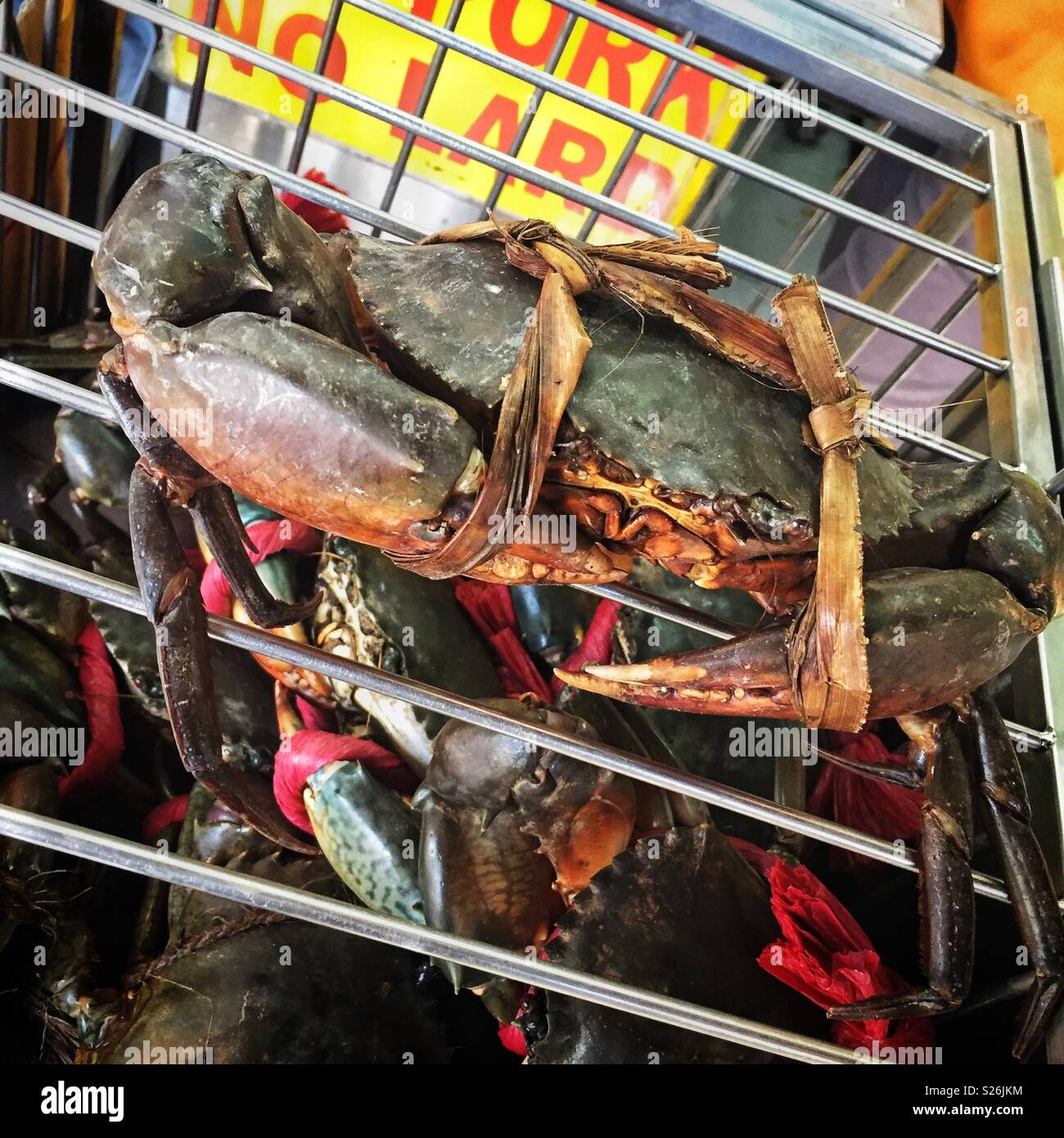 Live mud crab selected for cooking at East Coast Lagoon Food Village, a