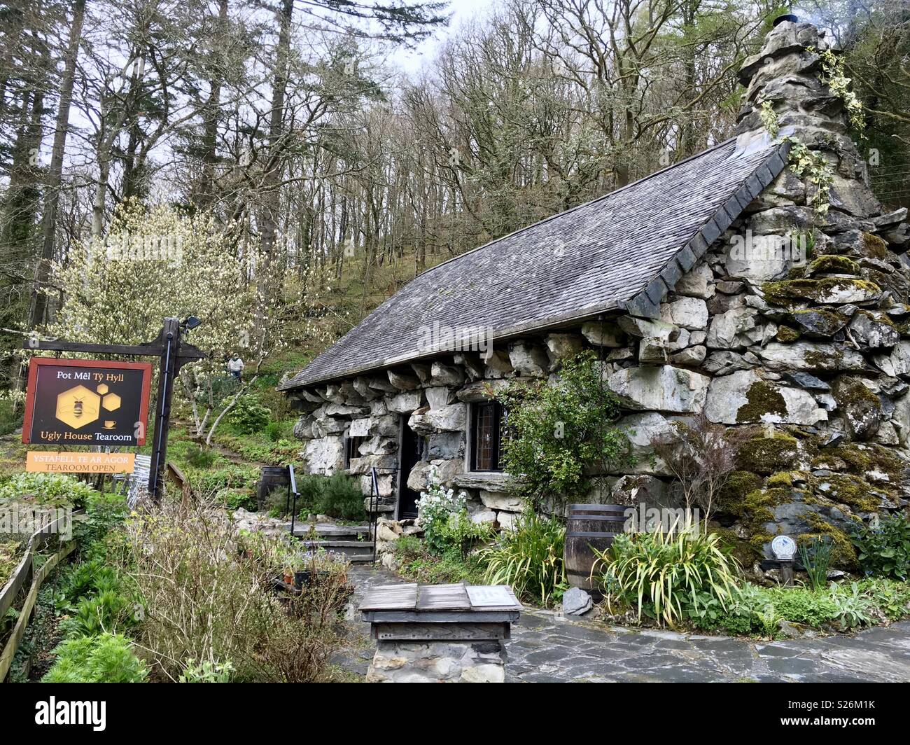 Ty hill ugly house tea room honey - Smartphone Captured Stock Image