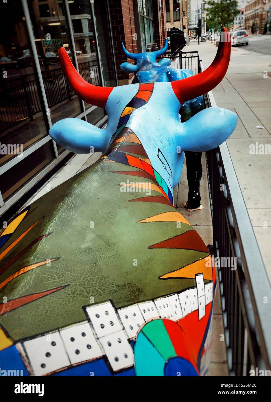 The Cows of Denver - Smartphone Captured Stock Image