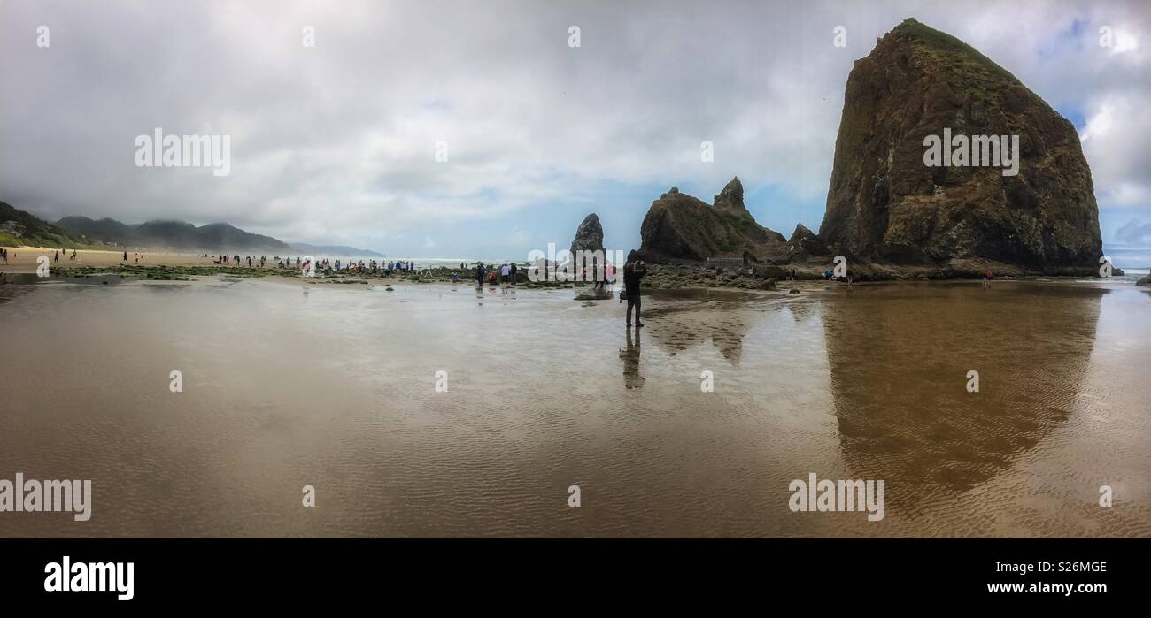 Tourists enjoying the low tide at Haystack Rock, Cannon Beach, Oregon Coast, USA. - Smartphone Captured Stock Image