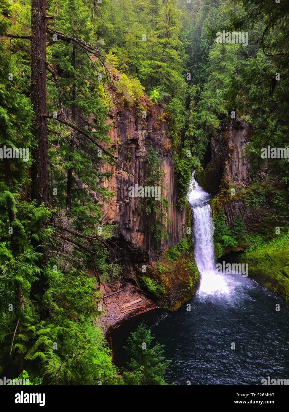 Toketee Falls, Oregon, USA. Stock Photo