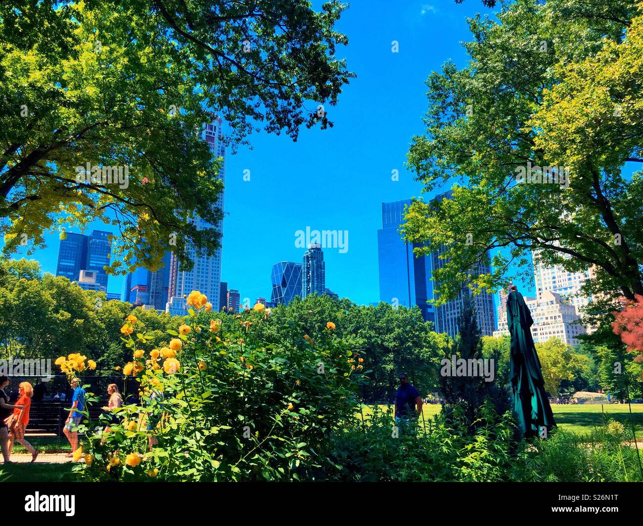 Summertime day in Central Park with midtown Manhattan skyline, NYC, USA - Smartphone Captured Stock Image
