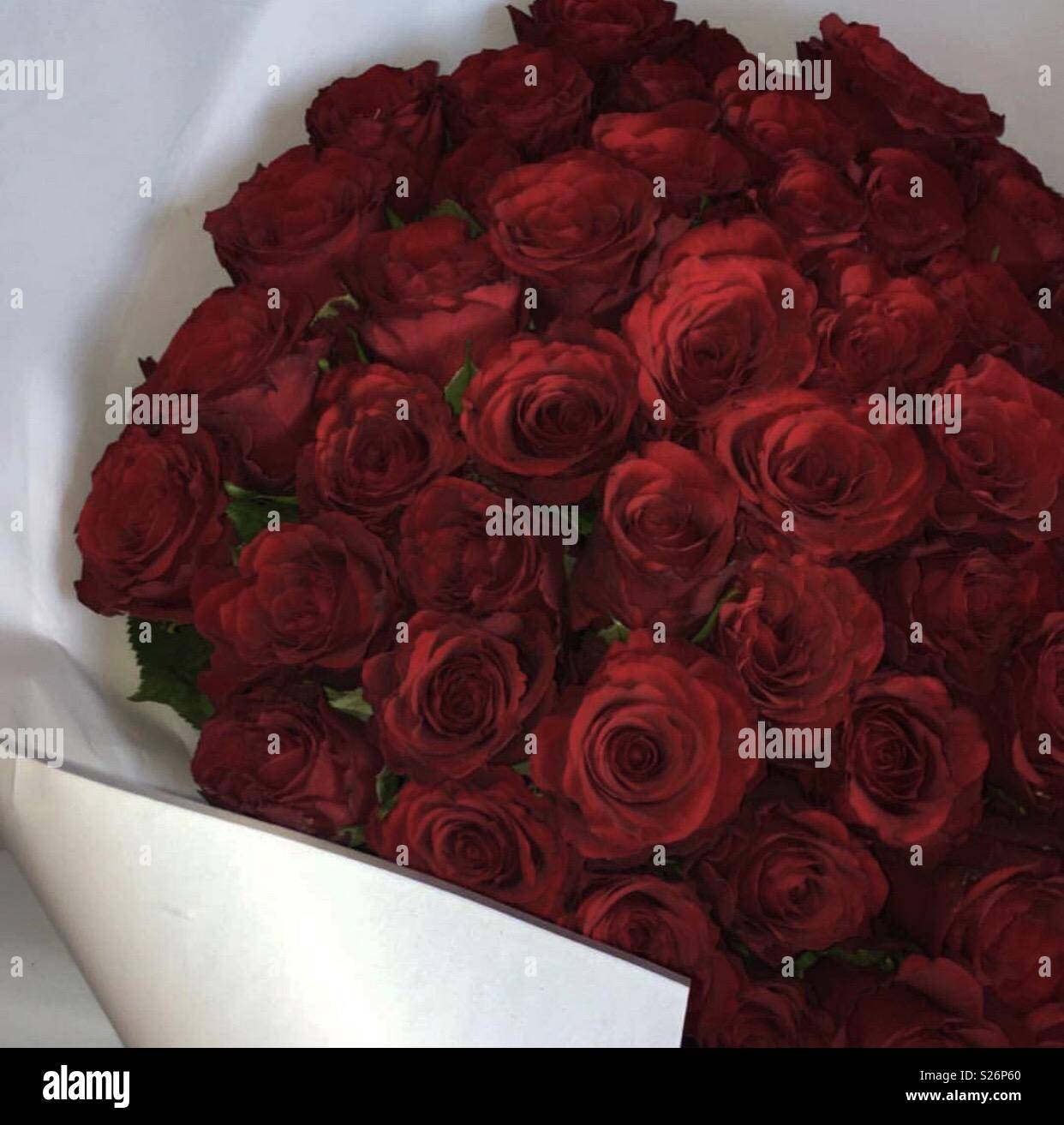 roses for my girlfriend