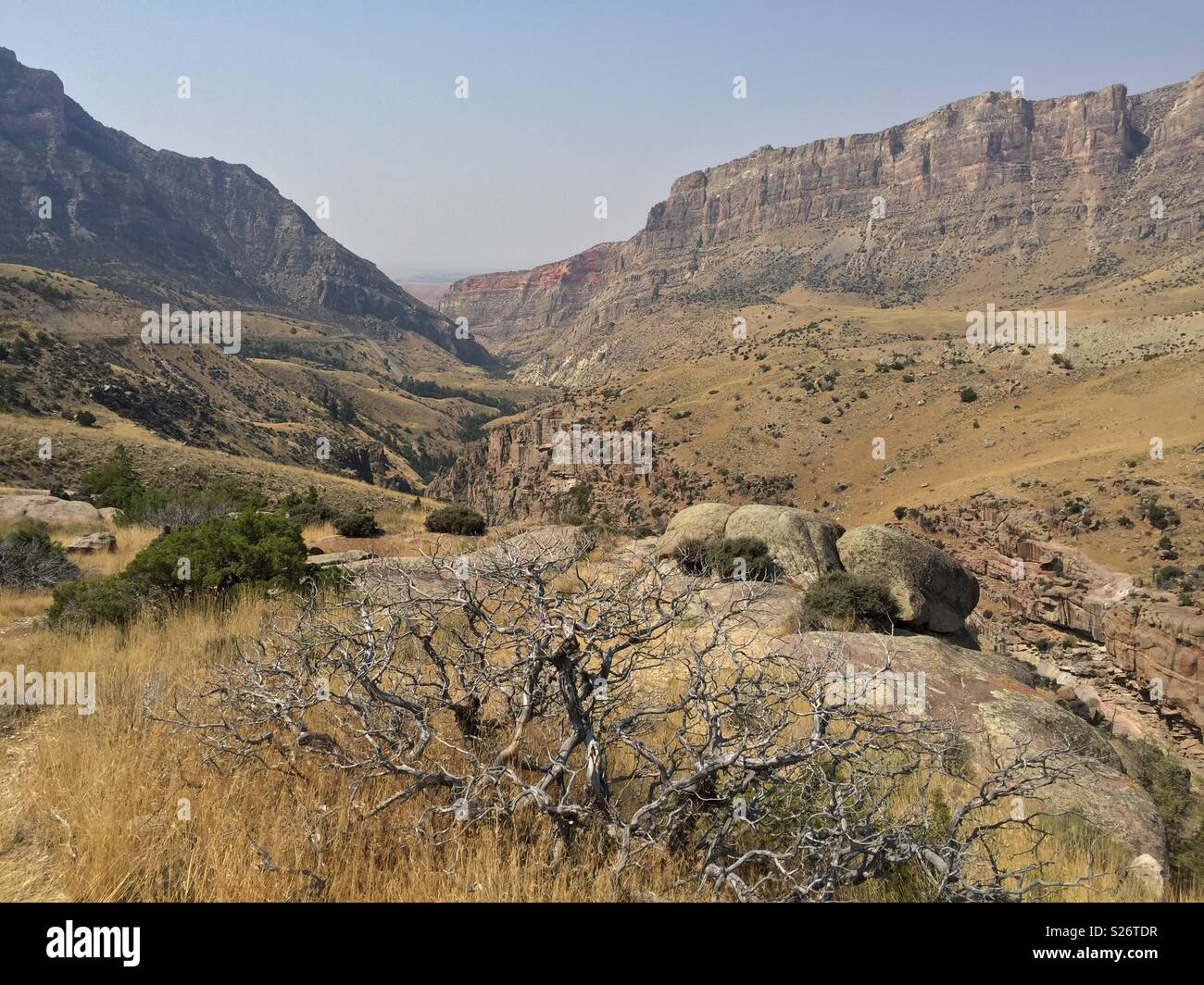 Shell Canyon in the bighorn Mountains of Wyoming Stock Photo Alamy
