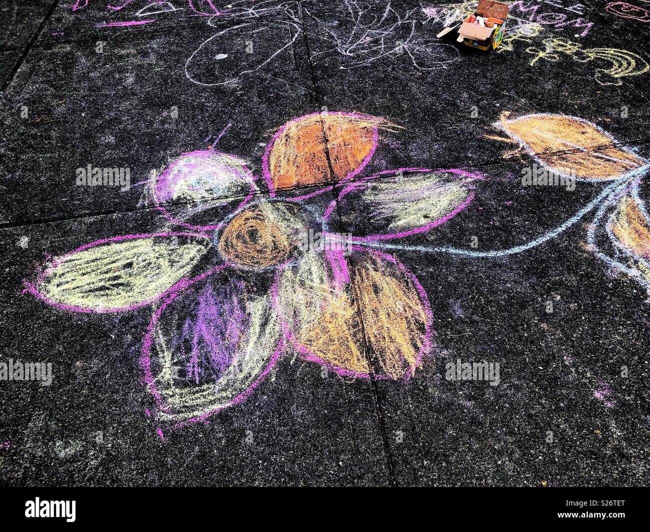 Chalk flowers grows on asphalt Stock Photo