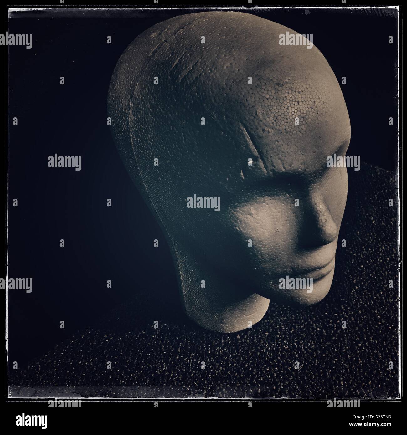 Polystyrene Skull, Mannequin Heads