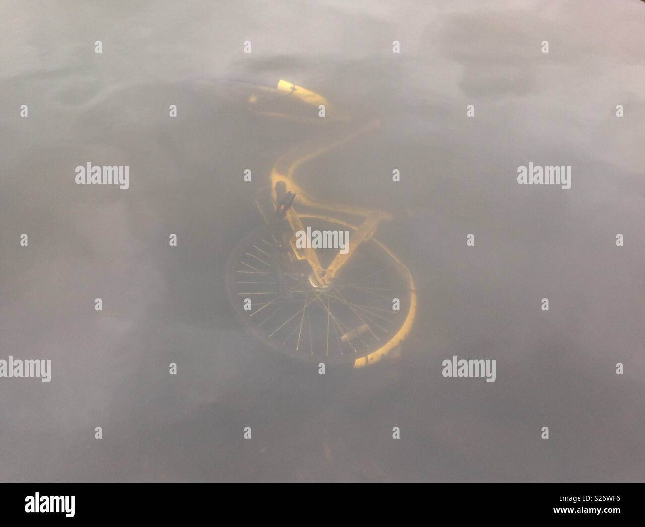 Drowning OFO bicycle - Smartphone Captured Stock Image