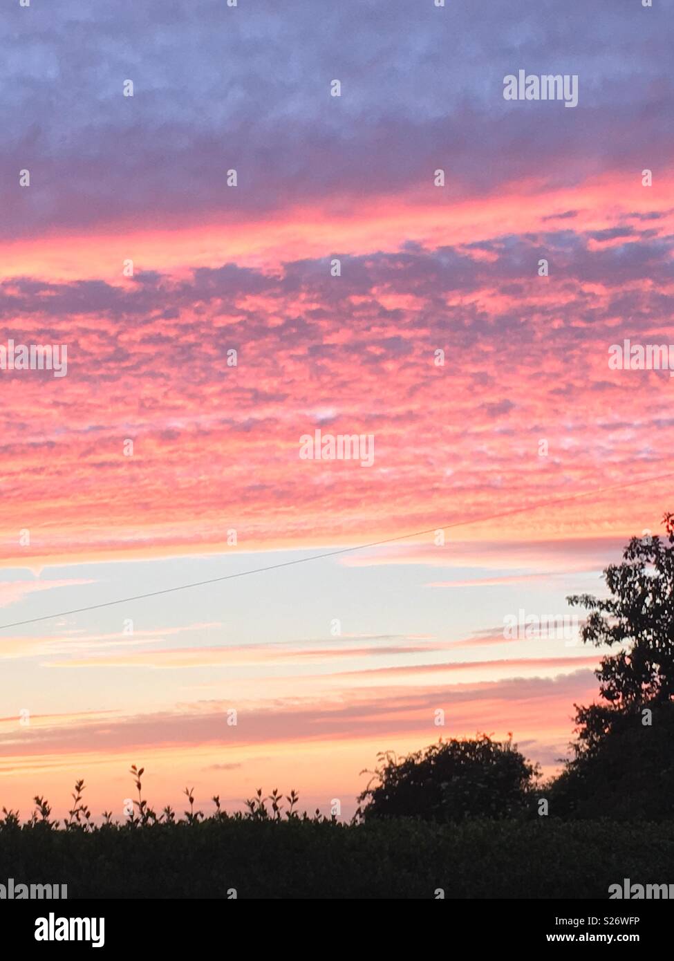 Sunset night sky with trees Stock Photo